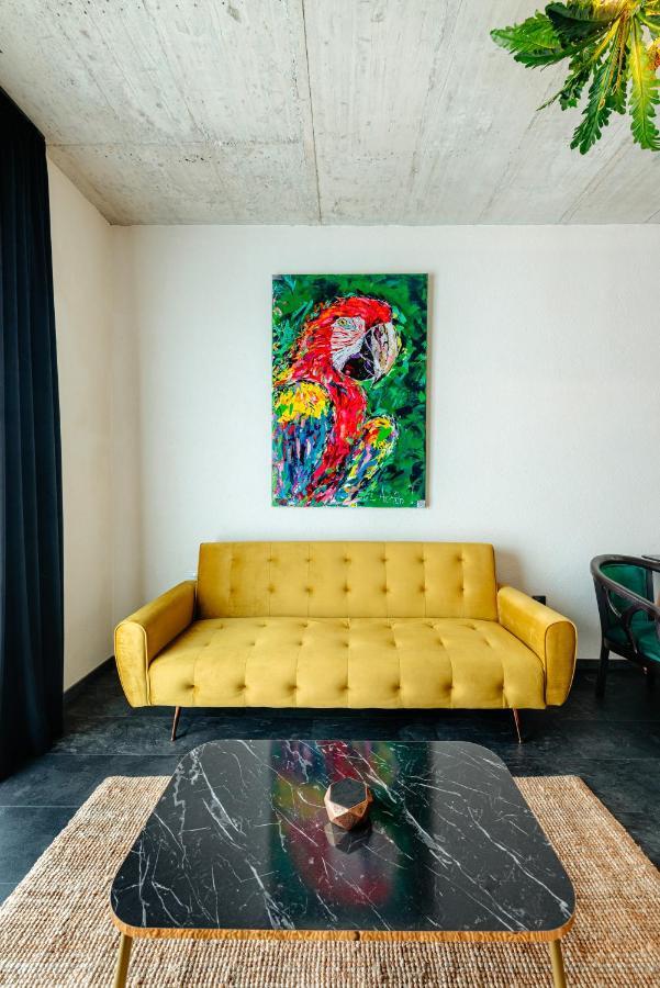 Centro Accommodation Kolozsvár Kültér fotó