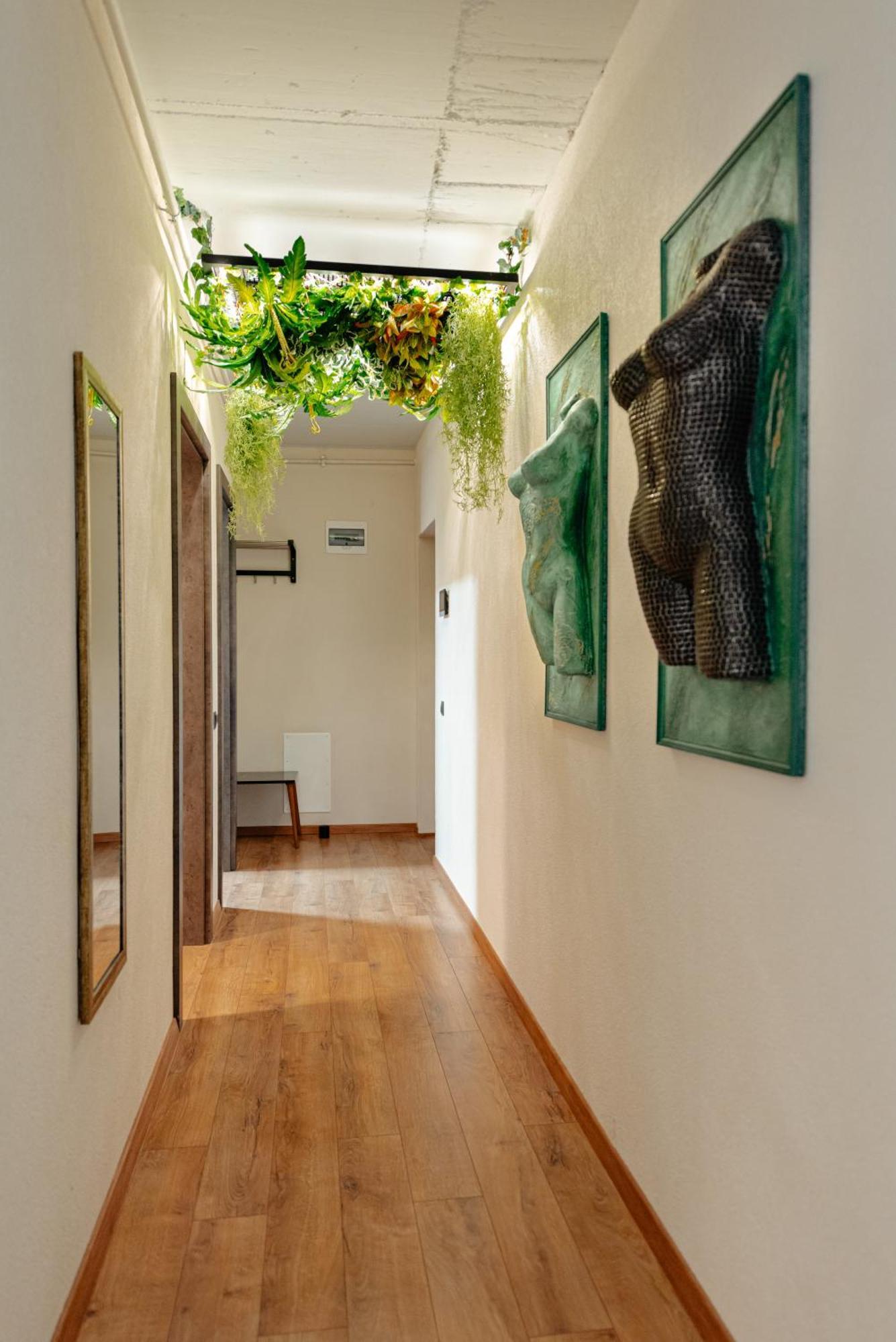 Centro Accommodation Kolozsvár Kültér fotó